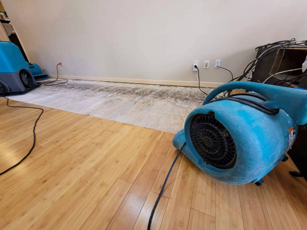 Professional Emergency Water Damage technician working in Liberty, MO